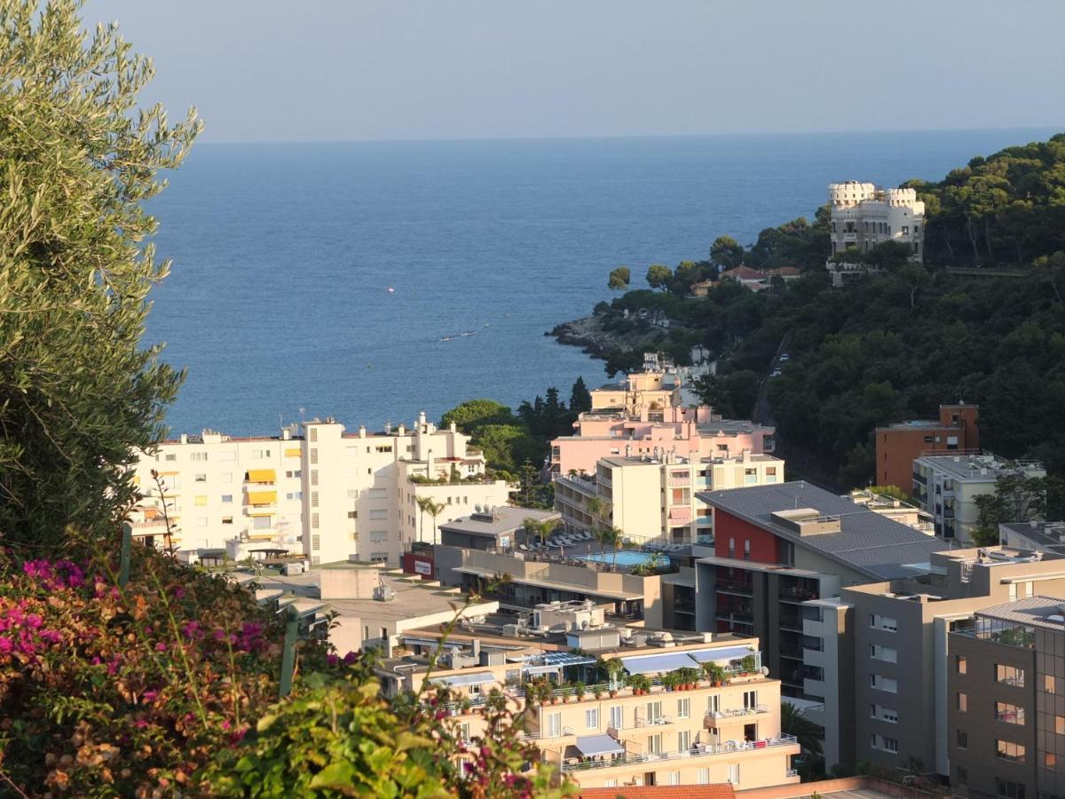 Appartement Le Belvedere Roquebrune-Cap-Martin Rum bild